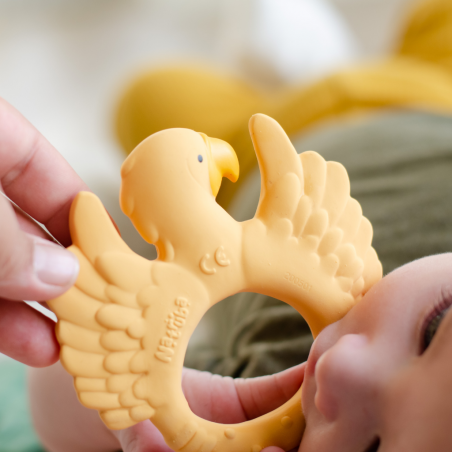 Anneau de dentition | Perroquet Jaune par Natruba dans la bouche d'un enfant Anneau de dentition | Perroquet Jaune par Natruba dans la bouche d'un enfant