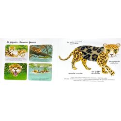 Mes docus à toucher | Les animaux de la jungle