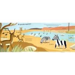 Mes docus à toucher | Les animaux de la savane