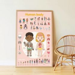 Poster Stickers | Le corps humain