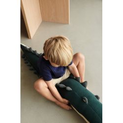 Carlos le crocodile