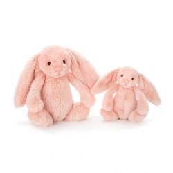 Petit Lapin Bashful 18 cm | Blush