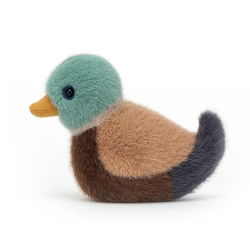 Doudou petit oiseau | Colvert