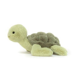 Tully la tortue