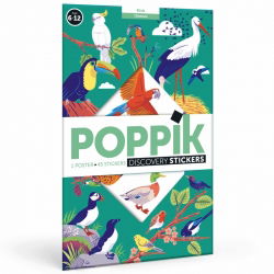 Poster Stickers | Oiseaux