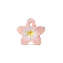 Mini jouet à mâchouiller | Bella la fleur