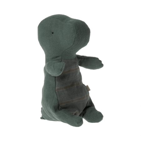 Petit Gantosaurus dans son œuf Petit Gantosaurus dans son œuf