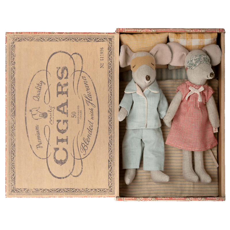 Papa et maman souris dans leur boite