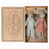 Papa et maman souris dans leur boite