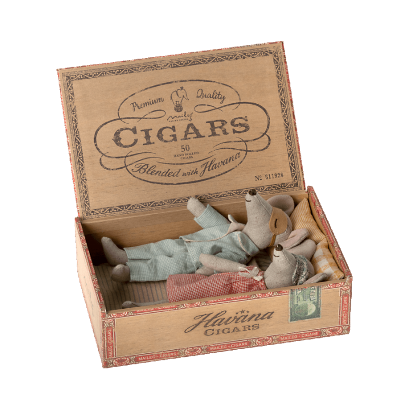 Papa et maman souris dans leur boite