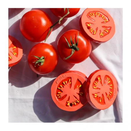 Jouet à mâchouiller | Renato la tomate - Oli and Carol Jouet à mâchouiller | Renato la tomate - Oli and Carol