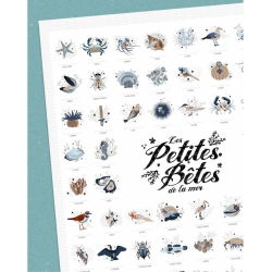 Affiche "Petites découvertes" | Les petites bêtes de la mer