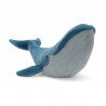 Grande baleine bleue