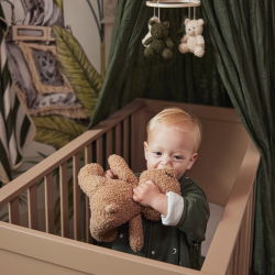 Ours en peluche | Biscuit