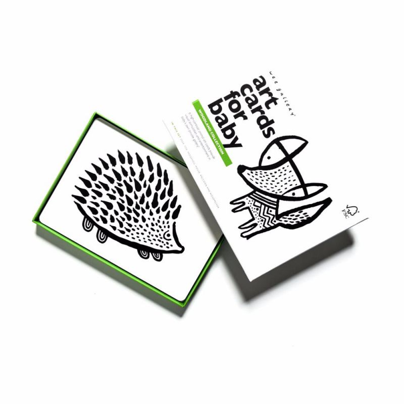Cartes imagier Animaux des bois
