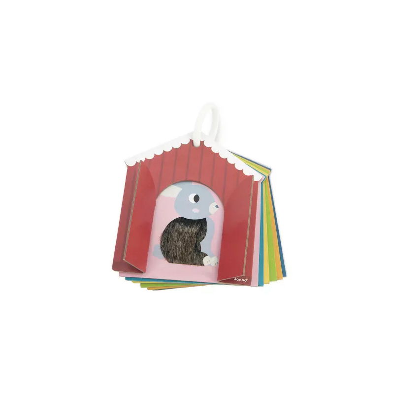 Cartes tactiles | Ferme