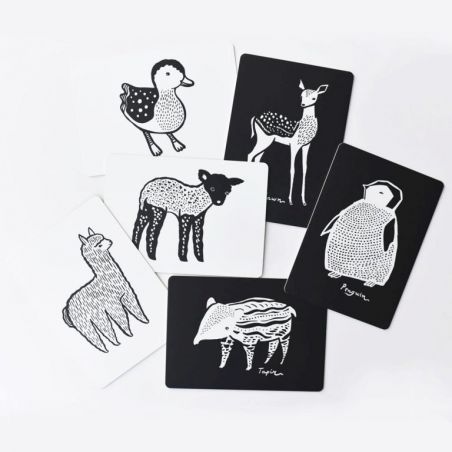 Cartes imagier Bébés animaux Cartes imagier Bébés animaux
