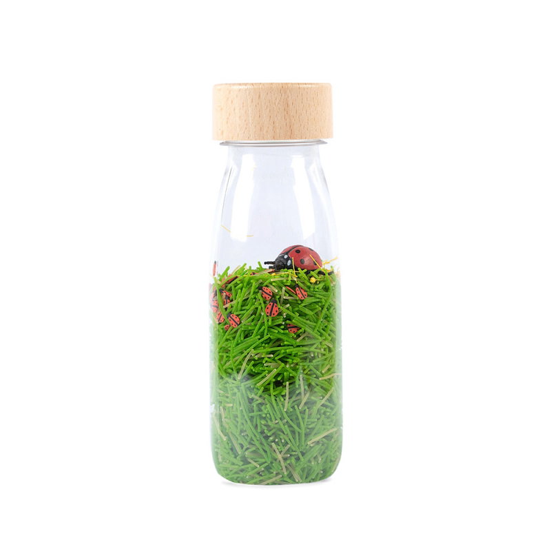 Bouteille sensorielle Sound | Coccinelles