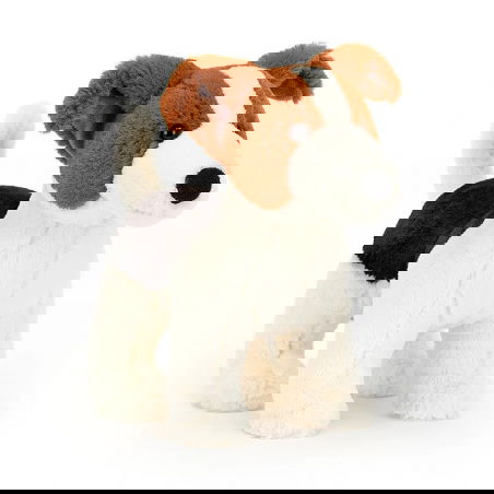 Doudou Albert le Jack Russell - Jellycat