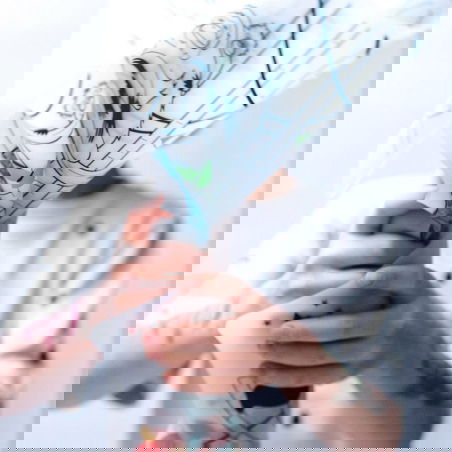 Set en silicone à colorier | Animaux d'Asie du Sud-Est - Super Petit