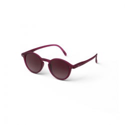 Lunettes de soleil Adulte (D) | Antique purple