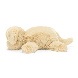 Le chien Wanderlust Puppy