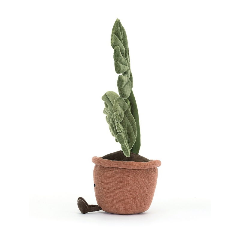 Amuseable Plante | Monstera