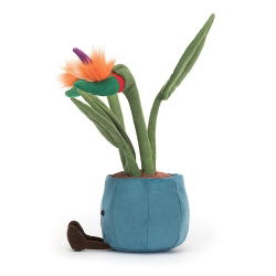 Amuseable Plante | Oiseau du paradis