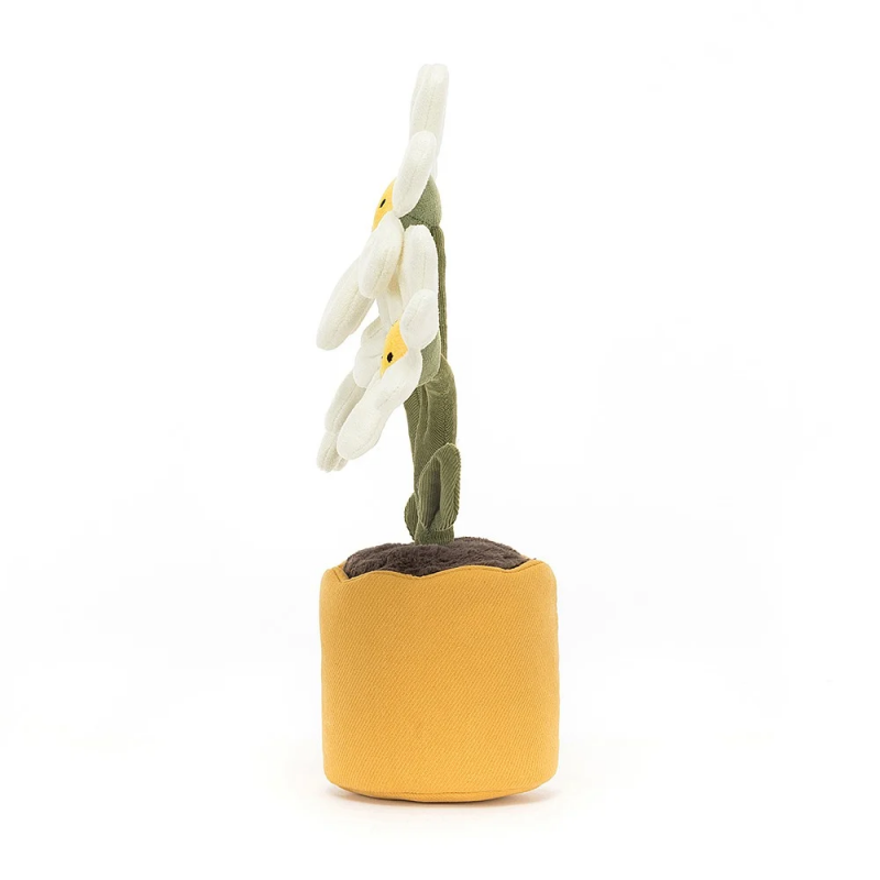 Amuseable Plante | Daisy
