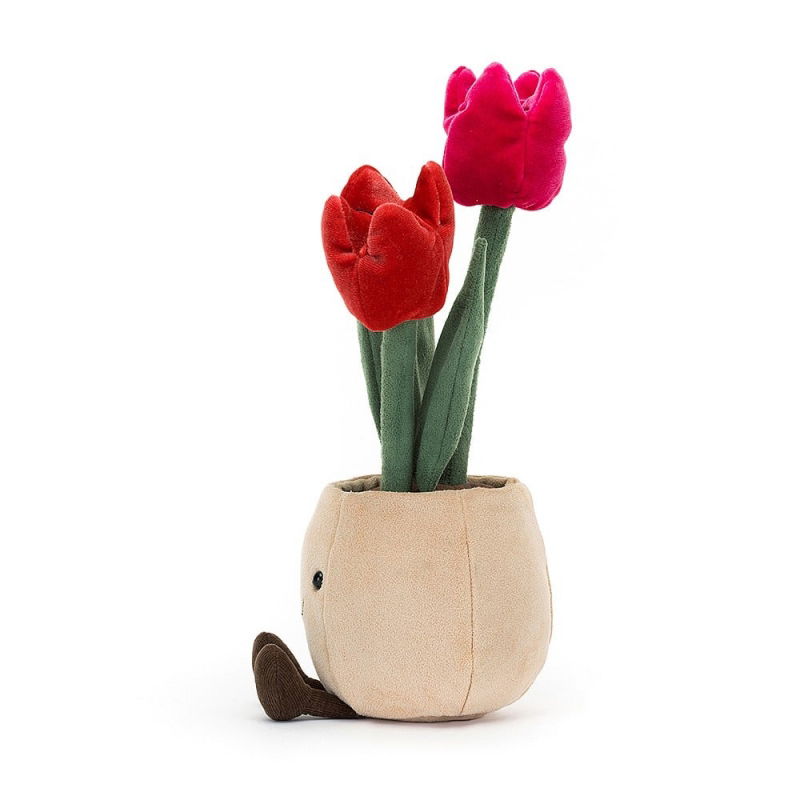Amuseable Plante | Tulipes