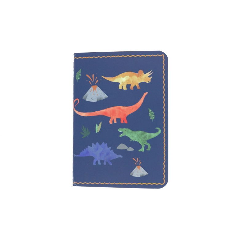 Carnet de notes petit format | Dino - Le petit souk