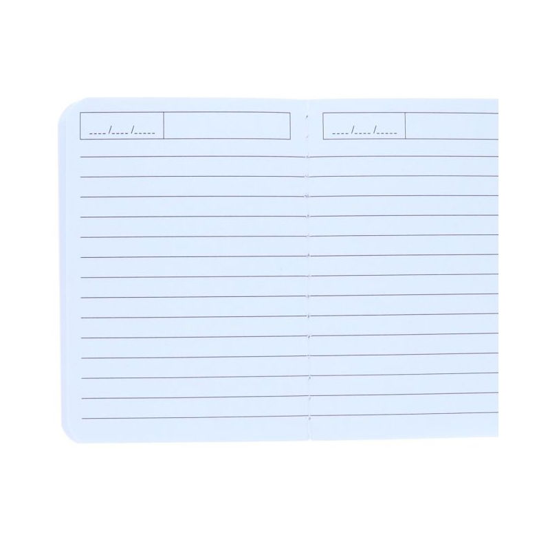 Carnet de notes petit format | Dino