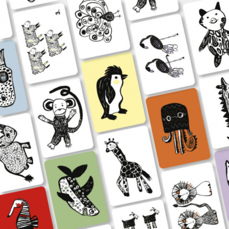 Cartes d'éveil | Safari - Mini coco