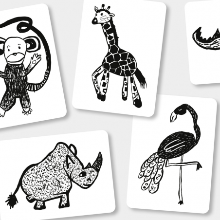 Cartes d'éveil | Safari - Mini coco