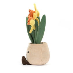 Amuseable Plante | Jonquilles