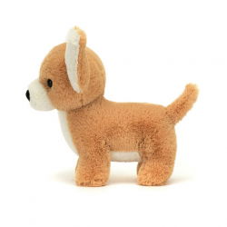Doudou chien | Chihuahua