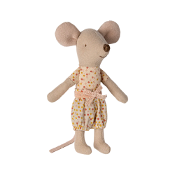 Petite sœur souris dans sa boite