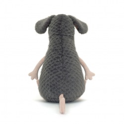 Lachlan le rat triste