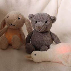 Peluche Lumineuse Ours | Gris
