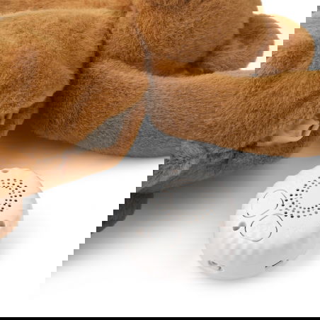 Peluche Veilleuse Musicale | Ours caramel - Liewood Peluche Veilleuse Musicale | Ours caramel - Liewood