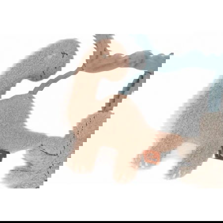 Chaine d'activités | Roarsome - Jollein