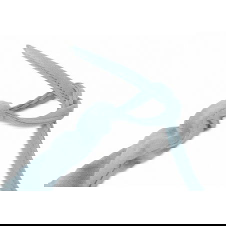 Chaine d'activités | Roarsome - Jollein