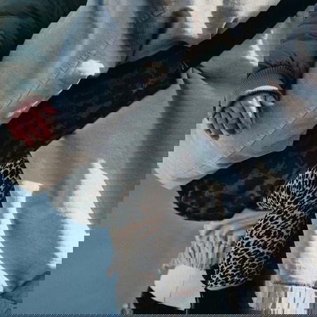 Porte-bébé | Leopard gris - Wildride