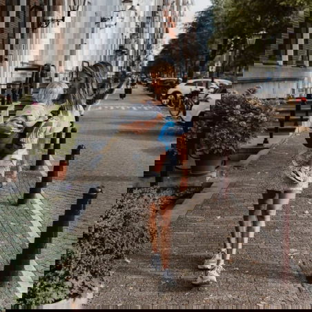 Porte-bébé | Coffee - Wildride