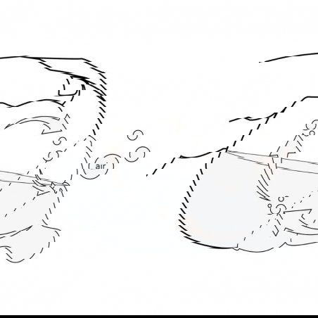 Biberon 240 ml | Sauge - Elhée