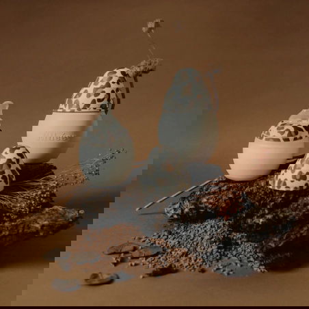 Biberon 240 ml | Graouu - Elhée