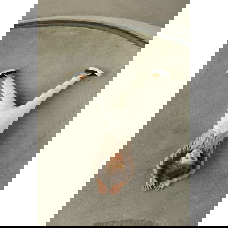 Collant à bretelles sans pieds | Cream Blend checked - Silly Silas