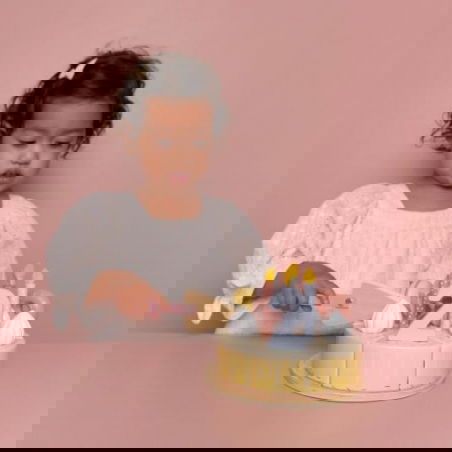 Gâteau d'anniversaire | Rose - Little Dutch