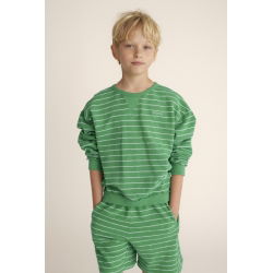 Sweat-shirt à larges rayures | Vert