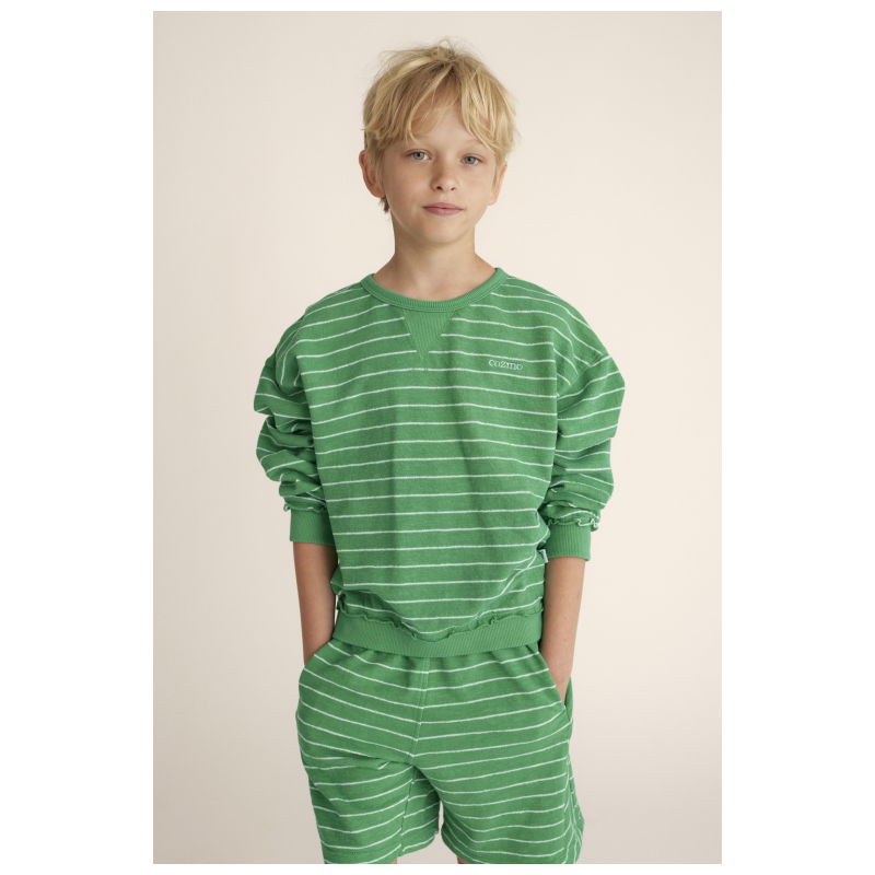 Sweat-shirt à larges rayures | Vert